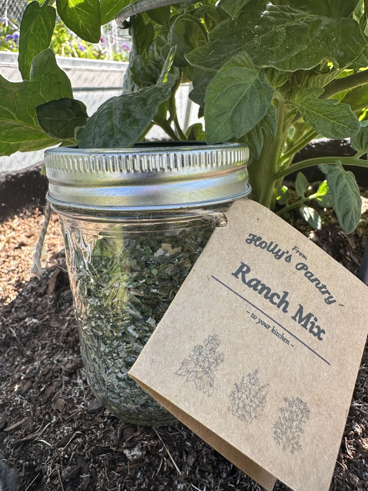 Jar of Ranch Mix dried herbs